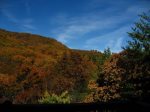 Beautiful autumn views of Mt Yonah from the back deck